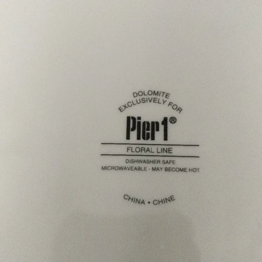 Pier 1 Dinner Plate Dish